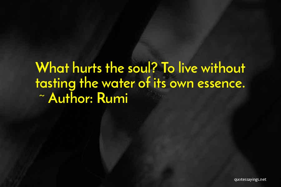 Rumi Quotes: What Hurts The Soul? To Live Without Tasting The Water Of Its Own Essence.