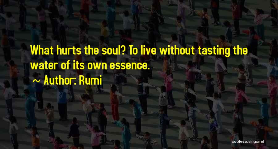 Rumi Quotes: What Hurts The Soul? To Live Without Tasting The Water Of Its Own Essence.