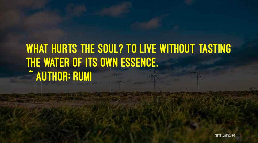 Rumi Quotes: What Hurts The Soul? To Live Without Tasting The Water Of Its Own Essence.