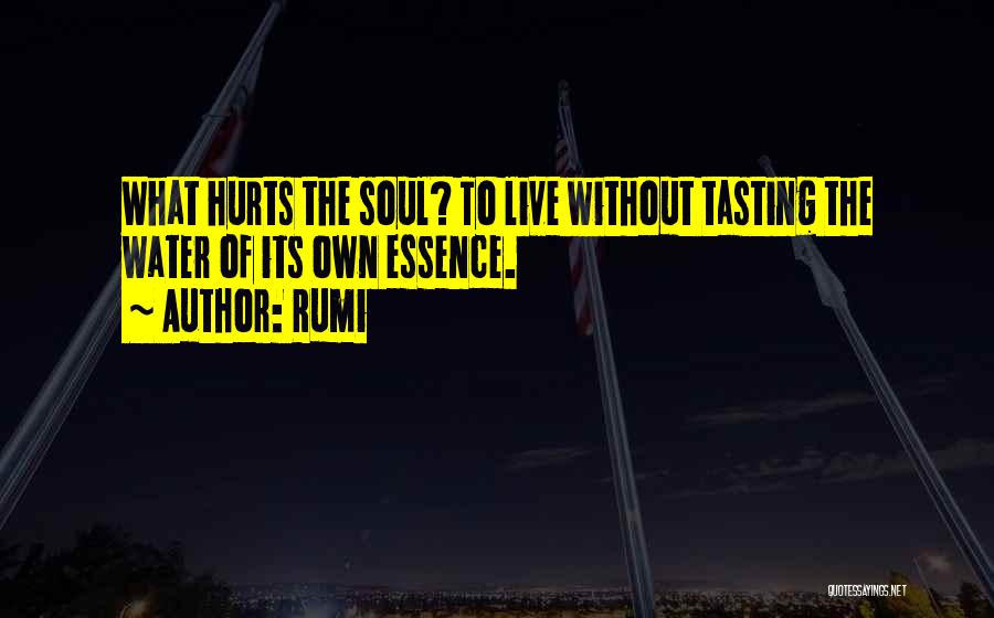 Rumi Quotes: What Hurts The Soul? To Live Without Tasting The Water Of Its Own Essence.