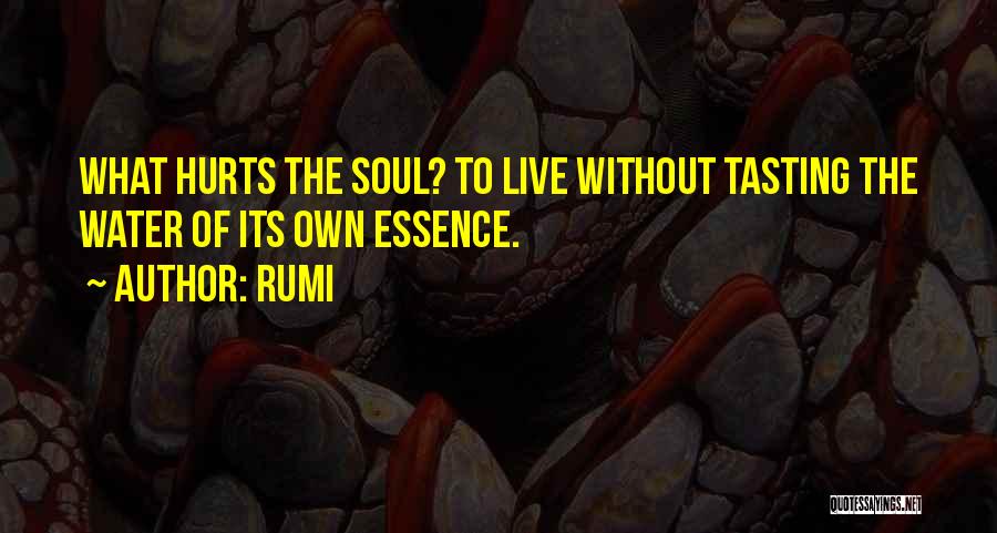 Rumi Quotes: What Hurts The Soul? To Live Without Tasting The Water Of Its Own Essence.