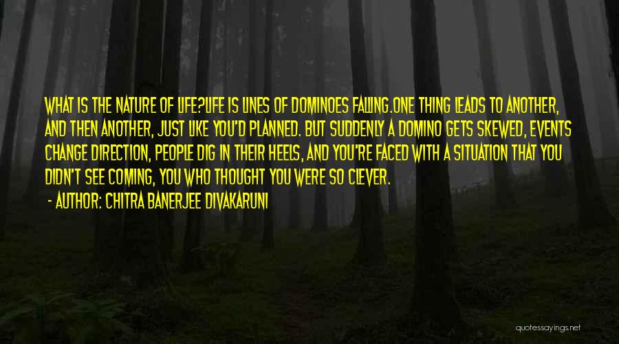 Chitra Banerjee Divakaruni Quotes: What Is The Nature Of Life?life Is Lines Of Dominoes Falling.one Thing Leads To Another, And Then Another, Just Like