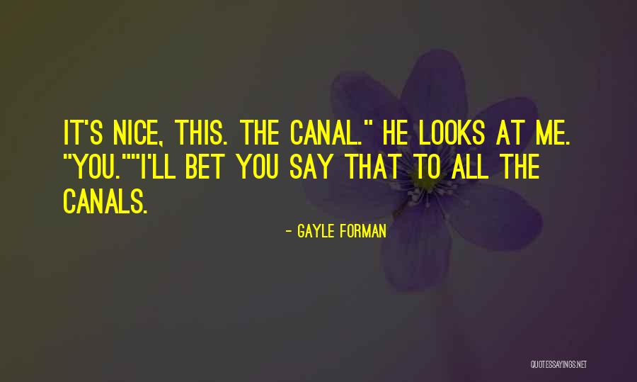 17325 Quotes By Gayle Forman 17325 Quotes By Gayle Forman
