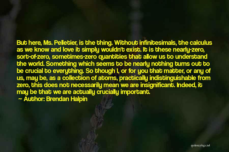 Brendan Halpin Quotes: But Here, Ms. Pelletier, Is The Thing. Without Infinitesimals, The Calculus As We Know And Love It Simply Wouldn't Exist.