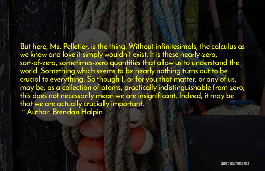 Brendan Halpin Quotes: But Here, Ms. Pelletier, Is The Thing. Without Infinitesimals, The Calculus As We Know And Love It Simply Wouldn't Exist.