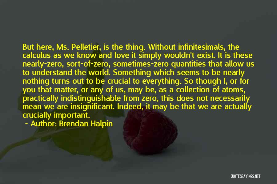 Brendan Halpin Quotes: But Here, Ms. Pelletier, Is The Thing. Without Infinitesimals, The Calculus As We Know And Love It Simply Wouldn't Exist.