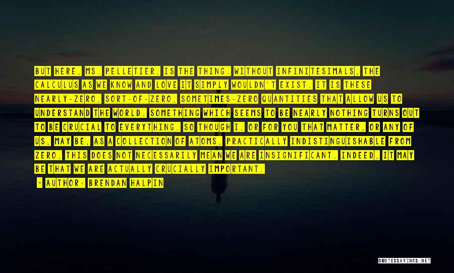 Brendan Halpin Quotes: But Here, Ms. Pelletier, Is The Thing. Without Infinitesimals, The Calculus As We Know And Love It Simply Wouldn't Exist.