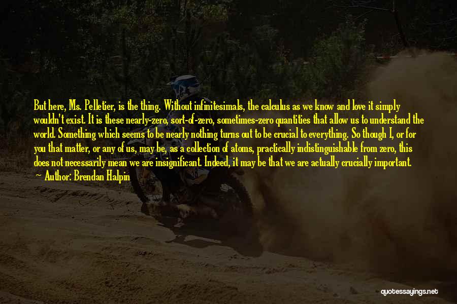 Brendan Halpin Quotes: But Here, Ms. Pelletier, Is The Thing. Without Infinitesimals, The Calculus As We Know And Love It Simply Wouldn't Exist.