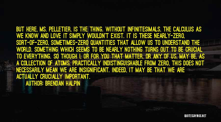 Brendan Halpin Quotes: But Here, Ms. Pelletier, Is The Thing. Without Infinitesimals, The Calculus As We Know And Love It Simply Wouldn't Exist.