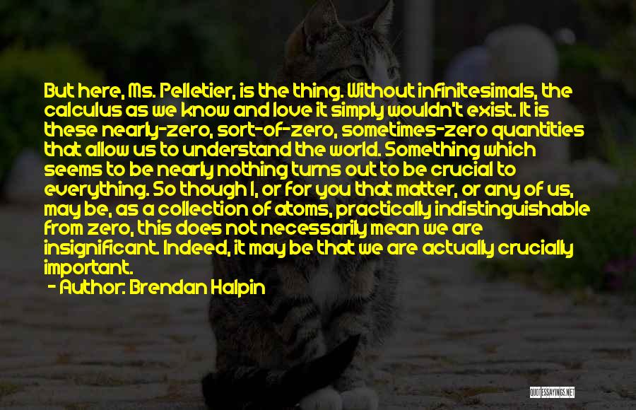 Brendan Halpin Quotes: But Here, Ms. Pelletier, Is The Thing. Without Infinitesimals, The Calculus As We Know And Love It Simply Wouldn't Exist.