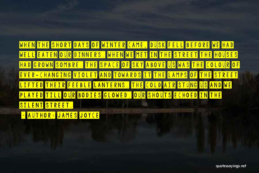 James Joyce Quotes: When The Short Days Of Winter Came, Dusk Fell Before We Had Well Eaten Our Dinners. When We Met In
