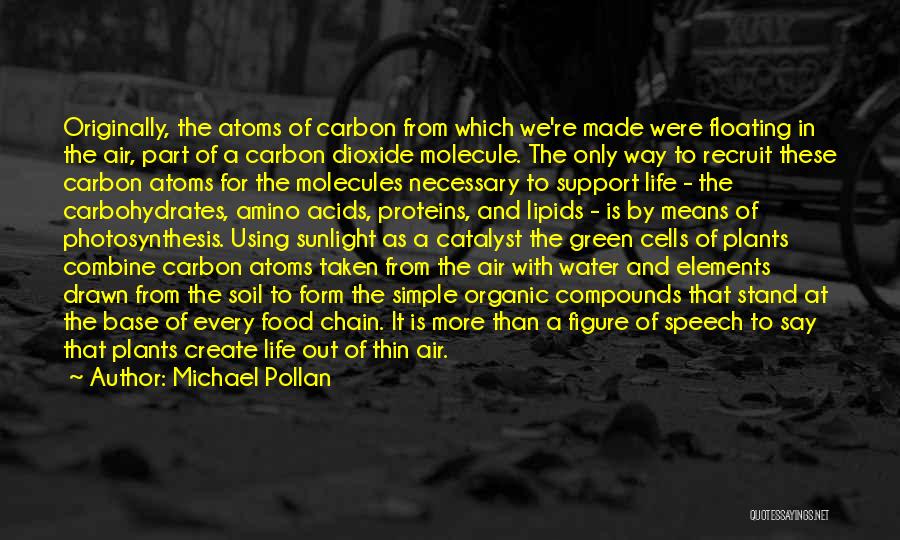 Michael Pollan Quotes: Originally, The Atoms Of Carbon From Which We're Made Were Floating In The Air, Part Of A Carbon Dioxide Molecule.