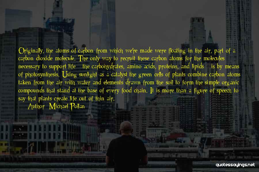 Michael Pollan Quotes: Originally, The Atoms Of Carbon From Which We're Made Were Floating In The Air, Part Of A Carbon Dioxide Molecule.