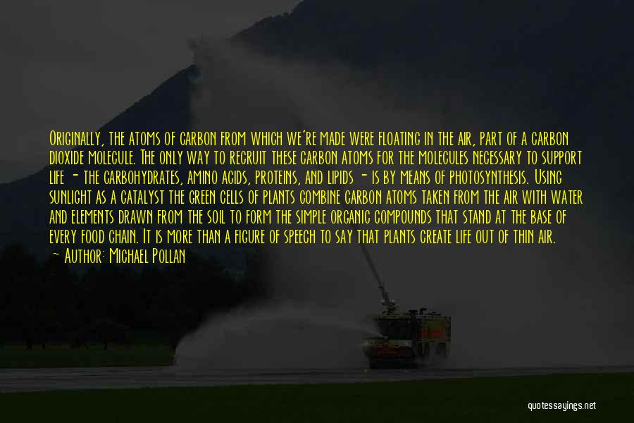 Michael Pollan Quotes: Originally, The Atoms Of Carbon From Which We're Made Were Floating In The Air, Part Of A Carbon Dioxide Molecule.