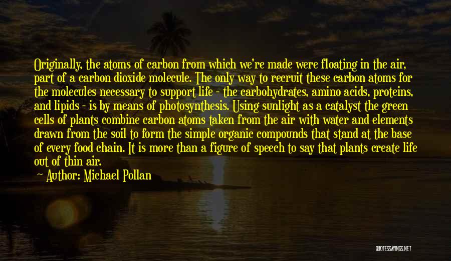 Michael Pollan Quotes: Originally, The Atoms Of Carbon From Which We're Made Were Floating In The Air, Part Of A Carbon Dioxide Molecule.