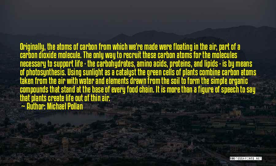 Michael Pollan Quotes: Originally, The Atoms Of Carbon From Which We're Made Were Floating In The Air, Part Of A Carbon Dioxide Molecule.