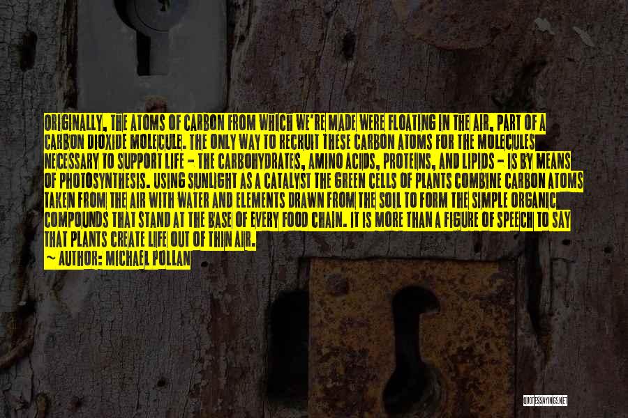 Michael Pollan Quotes: Originally, The Atoms Of Carbon From Which We're Made Were Floating In The Air, Part Of A Carbon Dioxide Molecule.