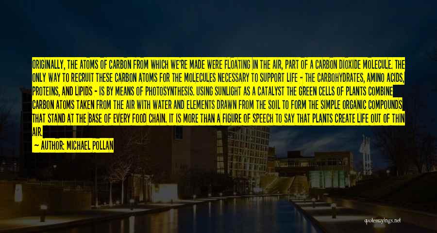 Michael Pollan Quotes: Originally, The Atoms Of Carbon From Which We're Made Were Floating In The Air, Part Of A Carbon Dioxide Molecule.