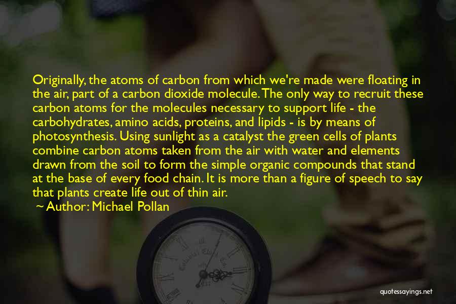 Michael Pollan Quotes: Originally, The Atoms Of Carbon From Which We're Made Were Floating In The Air, Part Of A Carbon Dioxide Molecule.