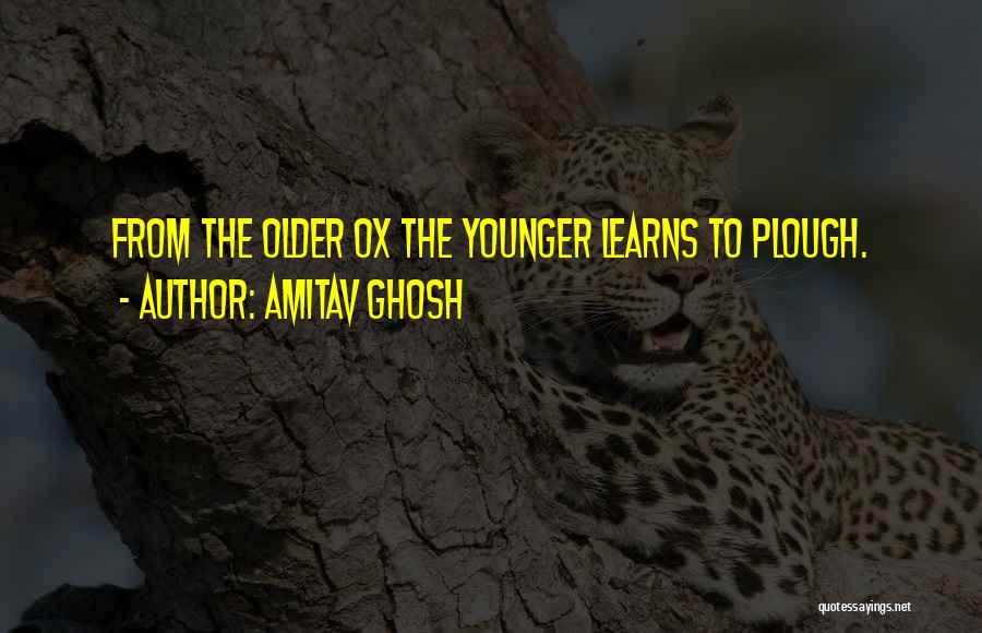 Amitav Ghosh Quotes: From The Older Ox The Younger Learns To Plough.