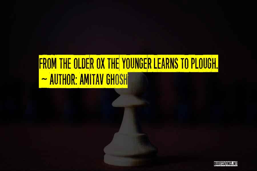 Amitav Ghosh Quotes: From The Older Ox The Younger Learns To Plough.