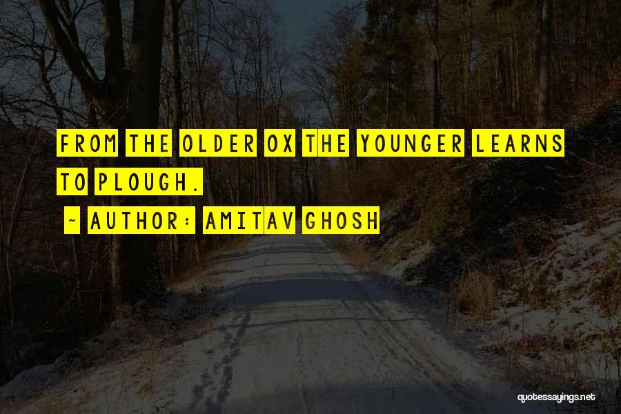 Amitav Ghosh Quotes: From The Older Ox The Younger Learns To Plough.