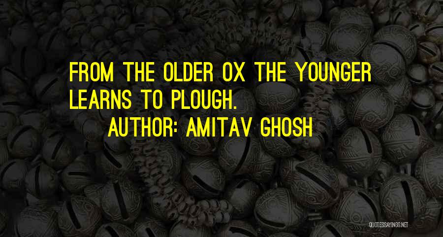 Amitav Ghosh Quotes: From The Older Ox The Younger Learns To Plough.