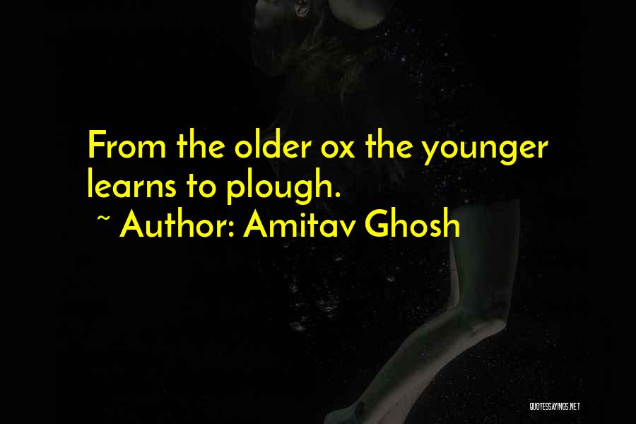 Amitav Ghosh Quotes: From The Older Ox The Younger Learns To Plough.