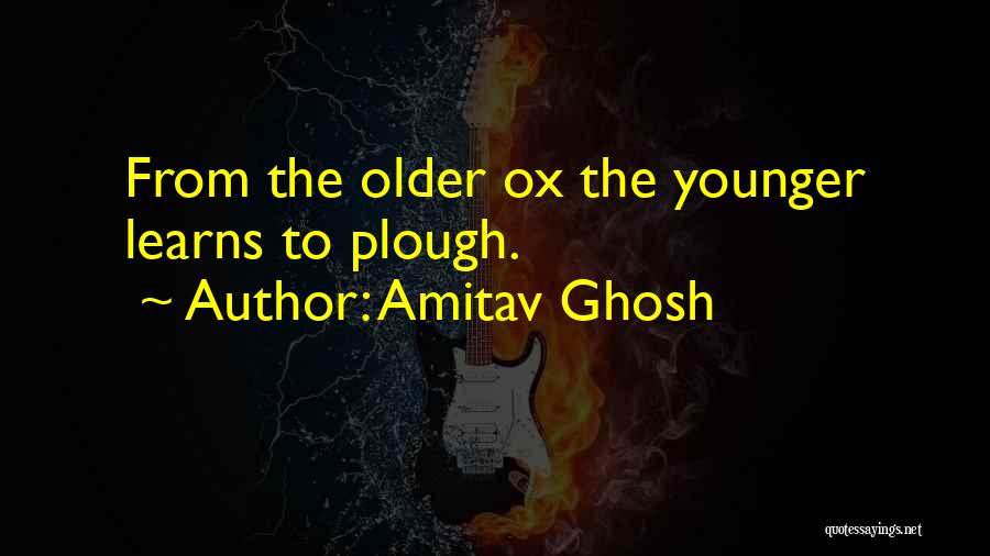 Amitav Ghosh Quotes: From The Older Ox The Younger Learns To Plough.