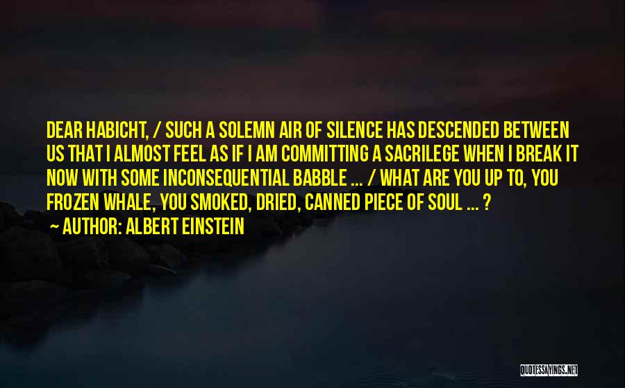 Albert Einstein Quotes: Dear Habicht, / Such A Solemn Air Of Silence Has Descended Between Us That I Almost Feel As If I