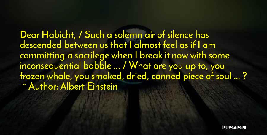Albert Einstein Quotes: Dear Habicht, / Such A Solemn Air Of Silence Has Descended Between Us That I Almost Feel As If I