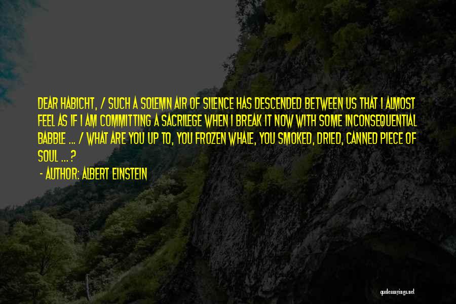 Albert Einstein Quotes: Dear Habicht, / Such A Solemn Air Of Silence Has Descended Between Us That I Almost Feel As If I