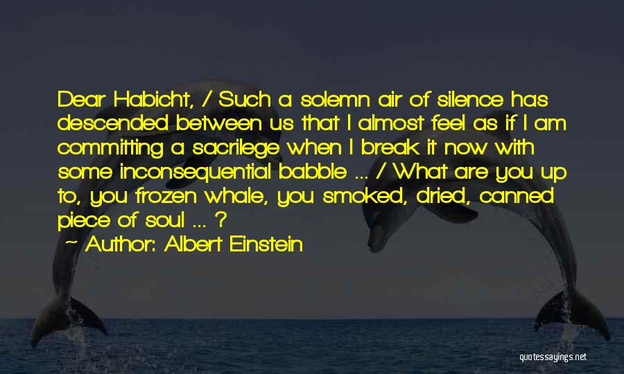 Albert Einstein Quotes: Dear Habicht, / Such A Solemn Air Of Silence Has Descended Between Us That I Almost Feel As If I