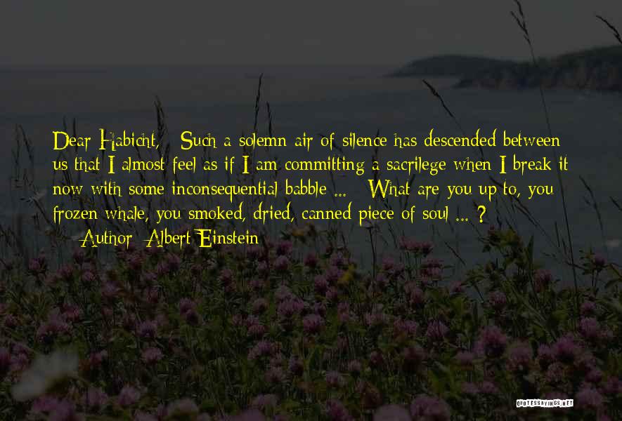 Albert Einstein Quotes: Dear Habicht, / Such A Solemn Air Of Silence Has Descended Between Us That I Almost Feel As If I
