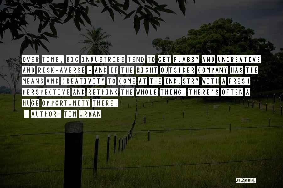 Tim Urban Quotes: Over Time, Big Industries Tend To Get Flabby And Uncreative And Risk-averse - And If The Right Outsider Company Has