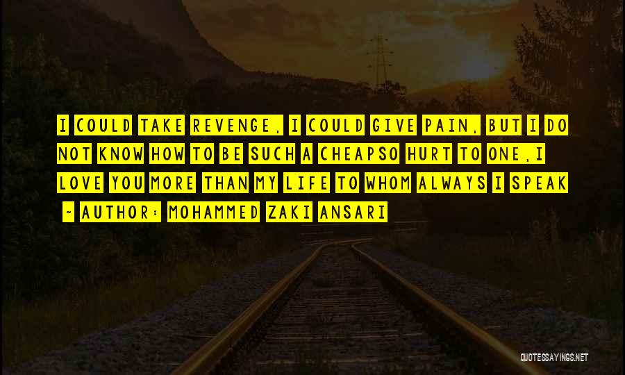 Mohammed Zaki Ansari Quotes: I Could Take Revenge, I Could Give Pain, But I Do Not Know How To Be Such A Cheapso Hurt