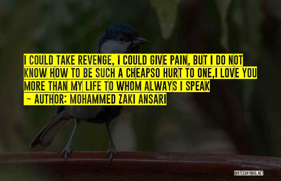 Mohammed Zaki Ansari Quotes: I Could Take Revenge, I Could Give Pain, But I Do Not Know How To Be Such A Cheapso Hurt