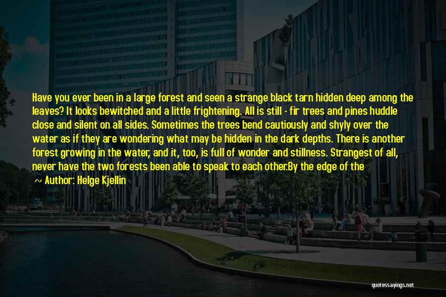 Helge Kjellin Quotes: Have You Ever Been In A Large Forest And Seen A Strange Black Tarn Hidden Deep Among The Leaves? It