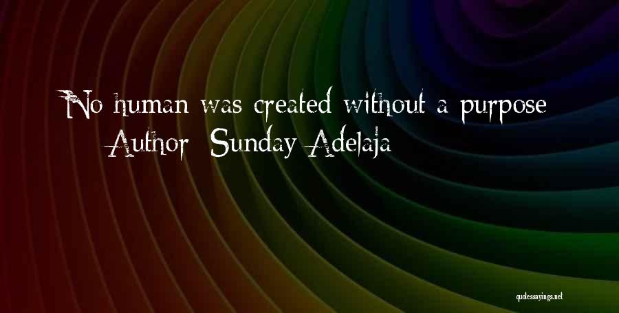 Sunday Adelaja Quotes: No Human Was Created Without A Purpose