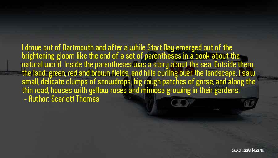 Scarlett Thomas Quotes: I Drove Out Of Dartmouth And After A While Start Bay Emerged Out Of The Brightening Gloom Like The End