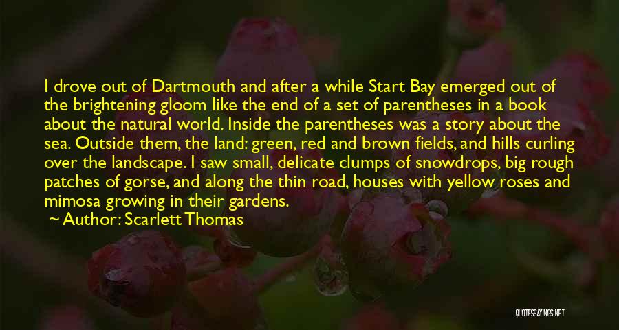 Scarlett Thomas Quotes: I Drove Out Of Dartmouth And After A While Start Bay Emerged Out Of The Brightening Gloom Like The End