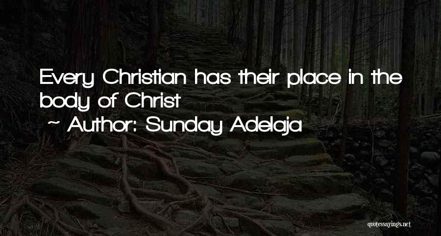 Sunday Adelaja Quotes: Every Christian Has Their Place In The Body Of Christ