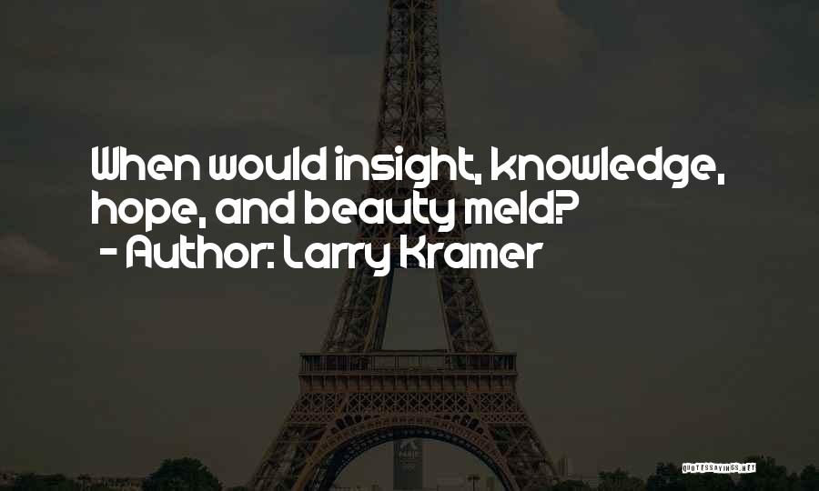 Larry Kramer Quotes: When Would Insight, Knowledge, Hope, And Beauty Meld?