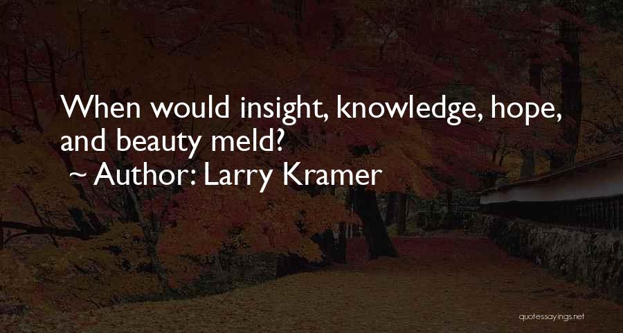 Larry Kramer Quotes: When Would Insight, Knowledge, Hope, And Beauty Meld?