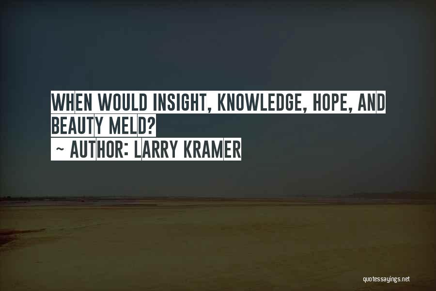 Larry Kramer Quotes: When Would Insight, Knowledge, Hope, And Beauty Meld?