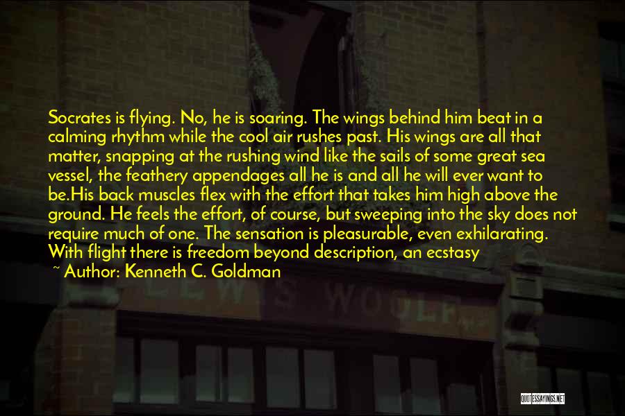 Kenneth C. Goldman Quotes: Socrates Is Flying. No, He Is Soaring. The Wings Behind Him Beat In A Calming Rhythm While The Cool Air