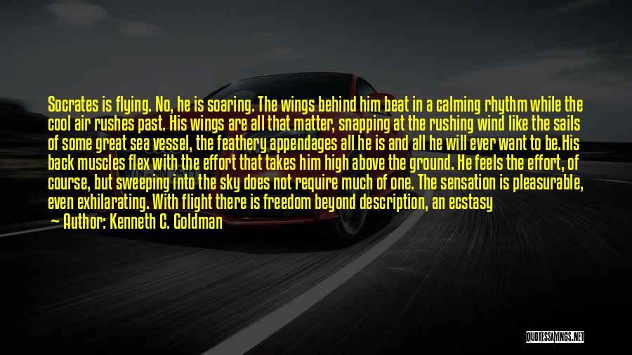 Kenneth C. Goldman Quotes: Socrates Is Flying. No, He Is Soaring. The Wings Behind Him Beat In A Calming Rhythm While The Cool Air