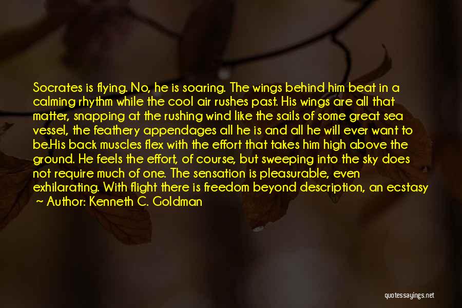 Kenneth C. Goldman Quotes: Socrates Is Flying. No, He Is Soaring. The Wings Behind Him Beat In A Calming Rhythm While The Cool Air