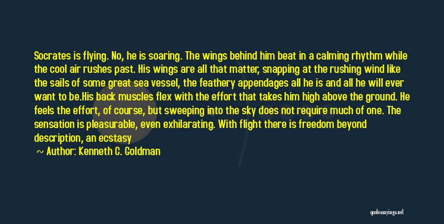 Kenneth C. Goldman Quotes: Socrates Is Flying. No, He Is Soaring. The Wings Behind Him Beat In A Calming Rhythm While The Cool Air