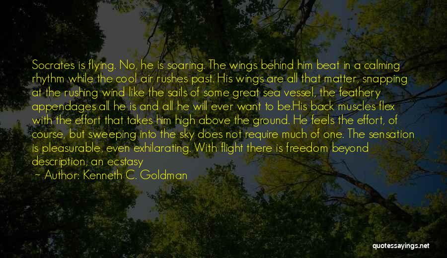 Kenneth C. Goldman Quotes: Socrates Is Flying. No, He Is Soaring. The Wings Behind Him Beat In A Calming Rhythm While The Cool Air